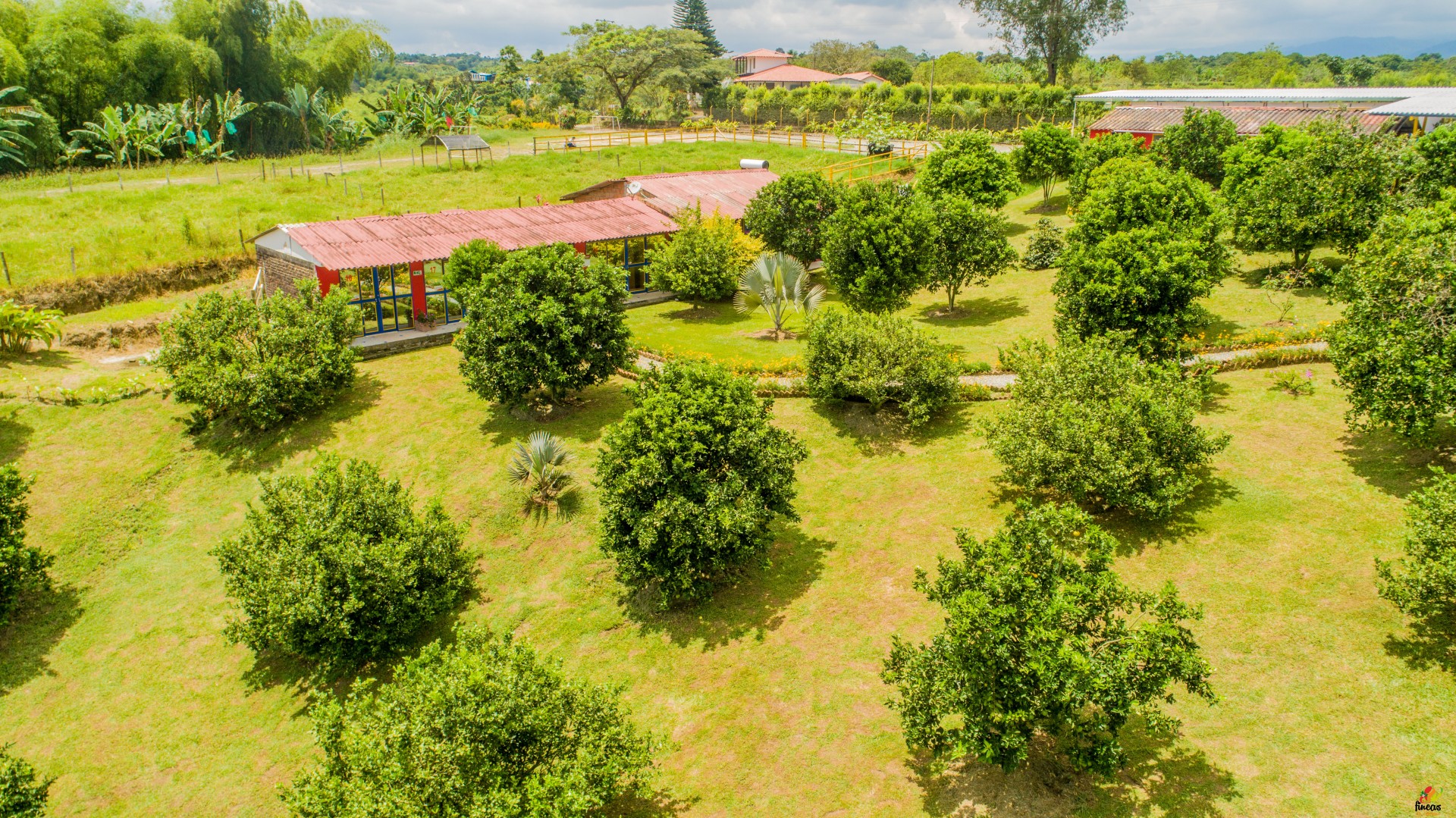 fincas-eje-cafetero-finca-09-65